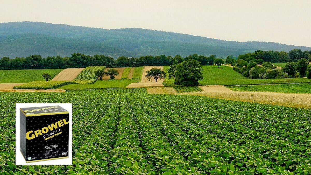 Masso-Agro-1200x675|masso-939x120|Masso-logo-400x160|Massó Prestop 2|Masso-Welcro micromix 2|MASSO-Growel-THM|Massó-Agricultura-BIO|masso-agro-catalogo-fitoreguladores